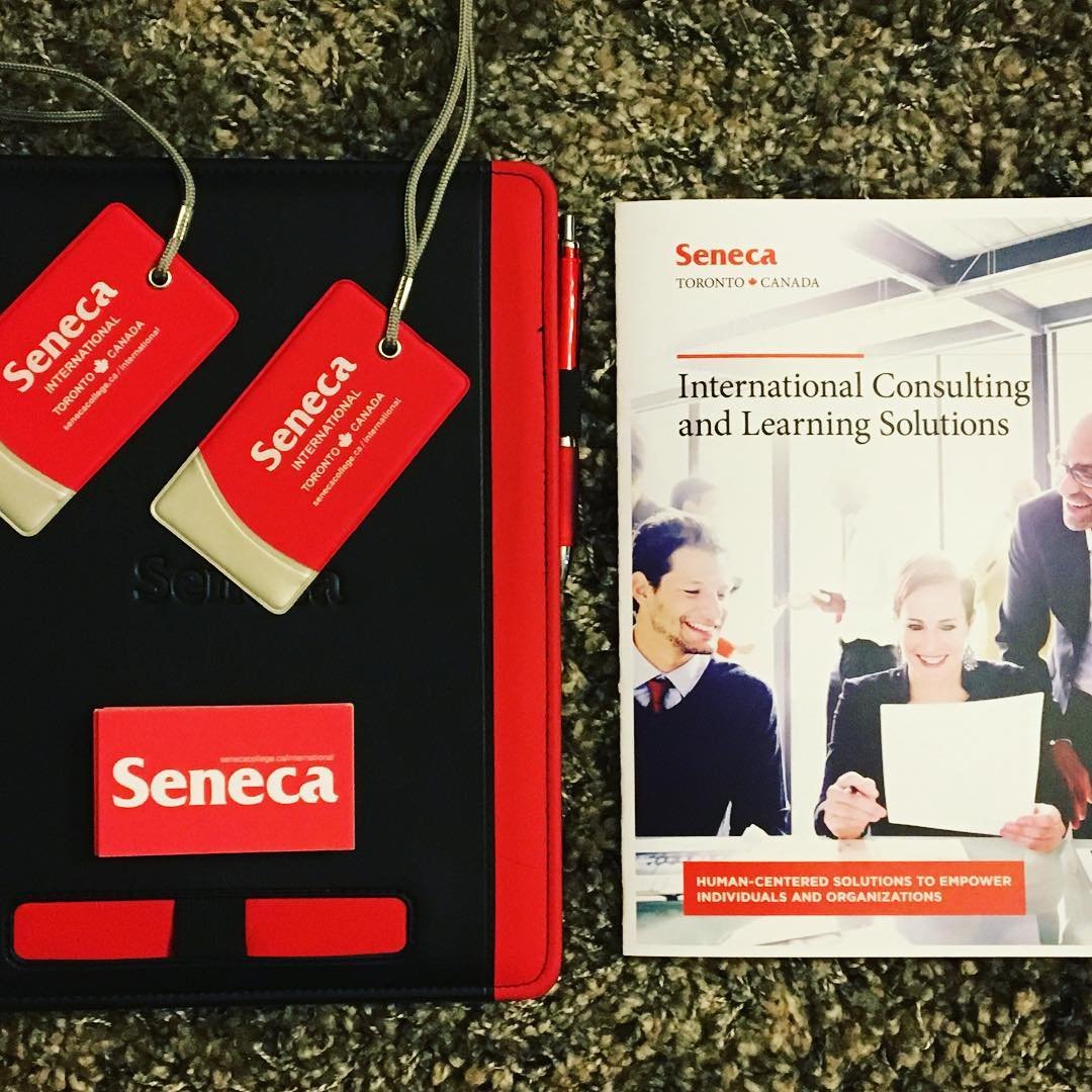 Seneca: Innovative Finance for UK Business Growth