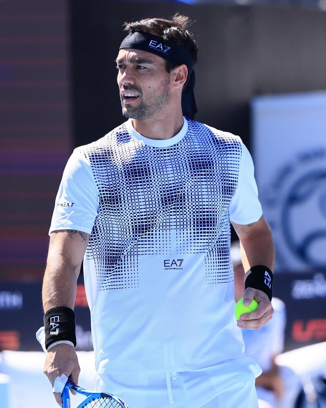Fabio Fognini: A Gritty Wimbledon Farewell