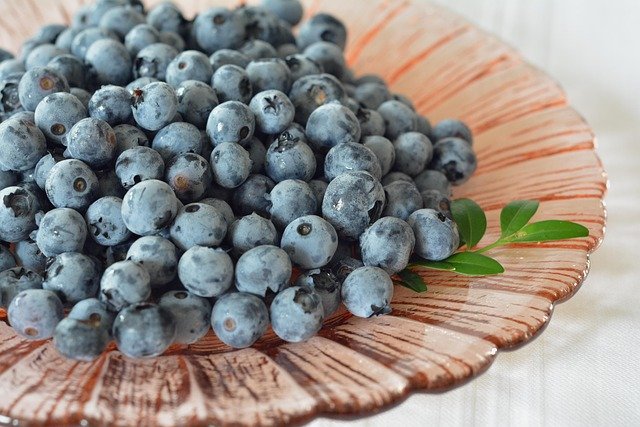 Alma Pak Blueberry Recall: Listeria Fears