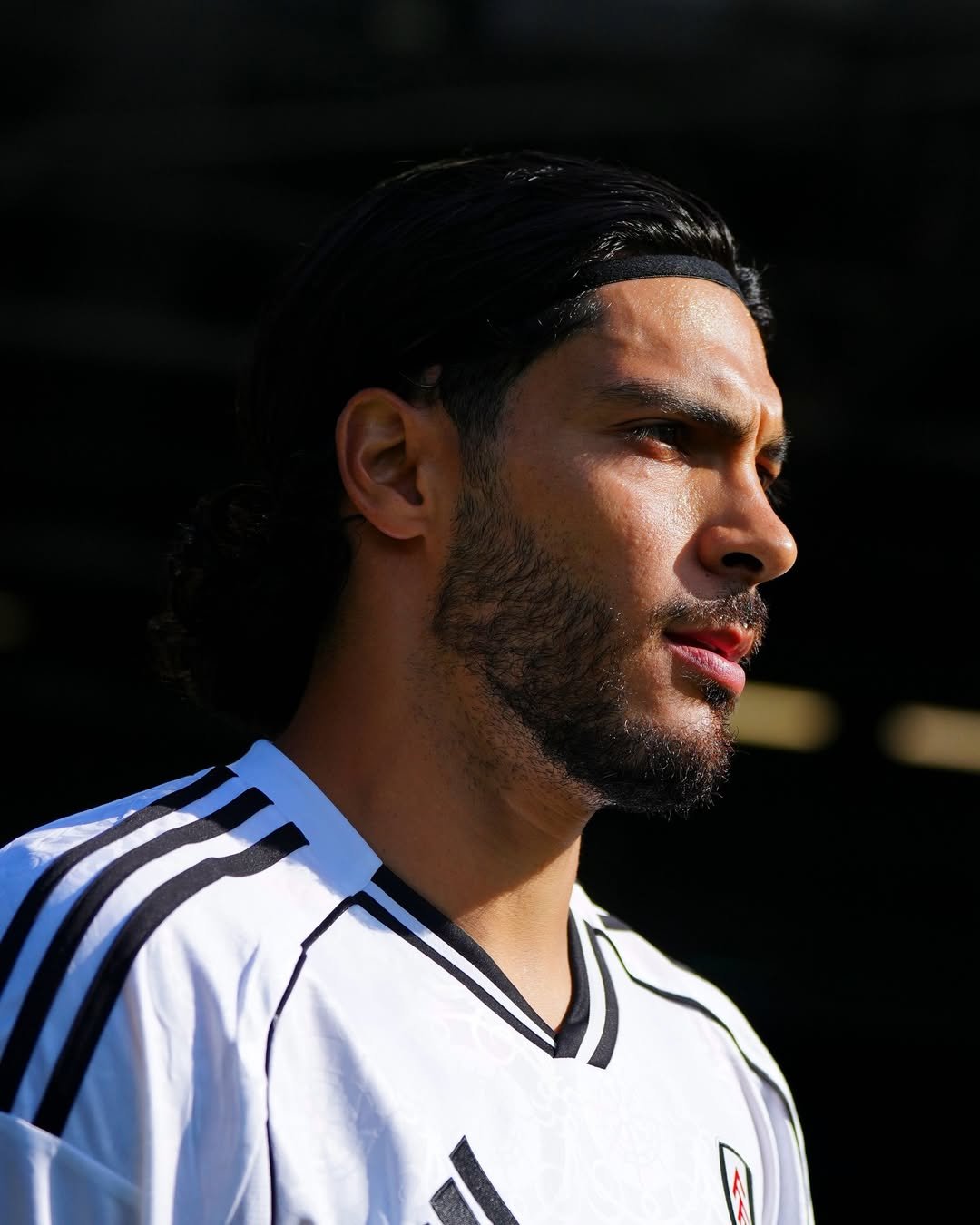 Fulham NewsNow: Transfers and Premier League Plans