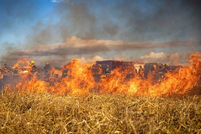 Arthur Seat Wildfire Hits Edinburgh During Peak Tourism Arthur Seat