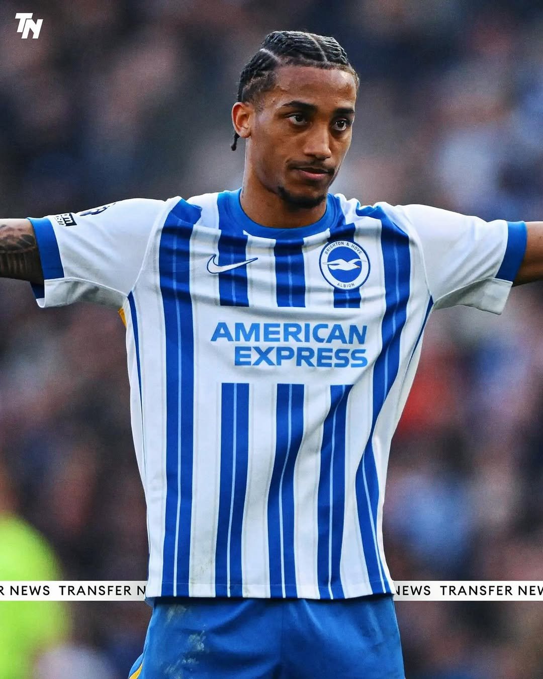 Brighton Transfer News: Summer 2025 Round-Up