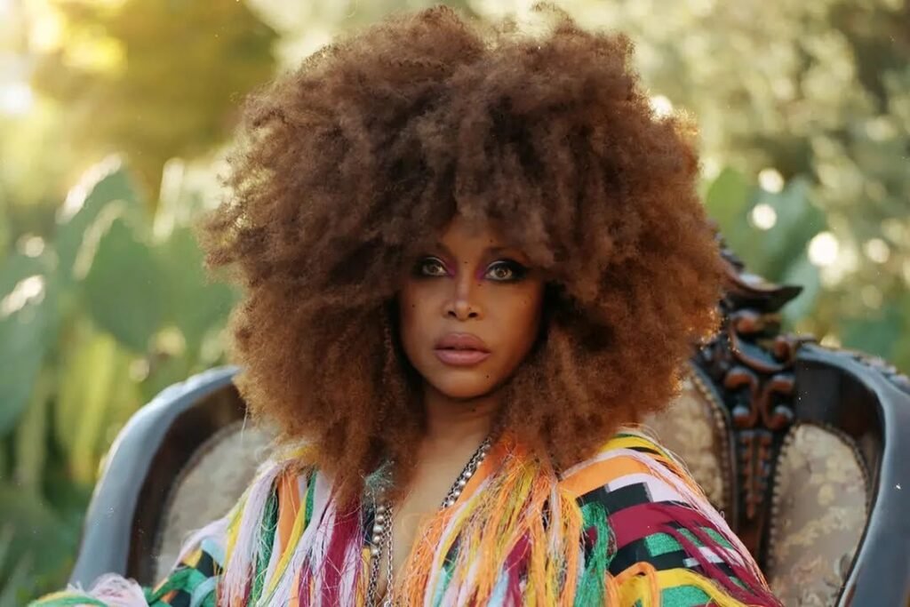 Kolleen Wright: The Woman Behind Erykah Badu’s Success kolleen wright