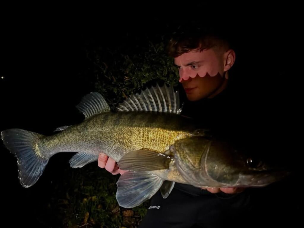 top 5 best pike lures