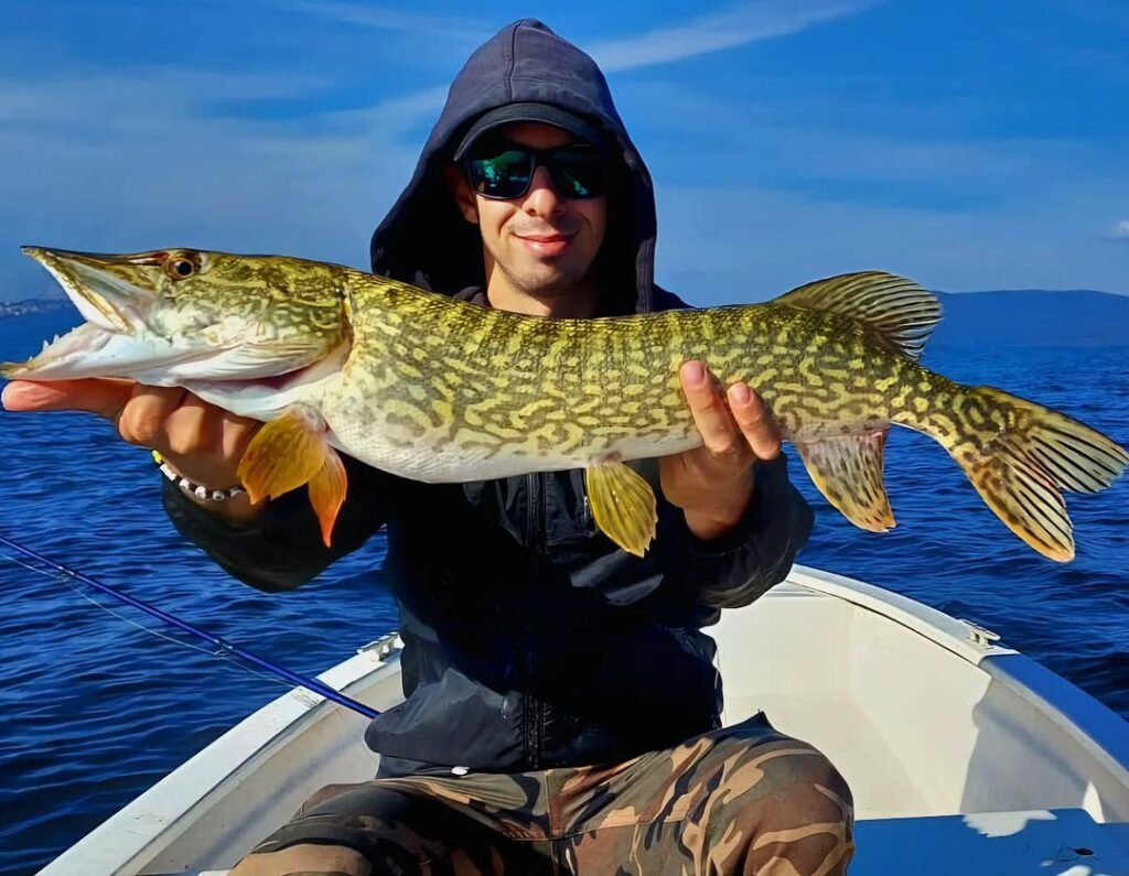 top 5 best pike lures